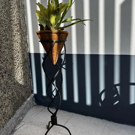 Casa Ribeiro ゲストハウス