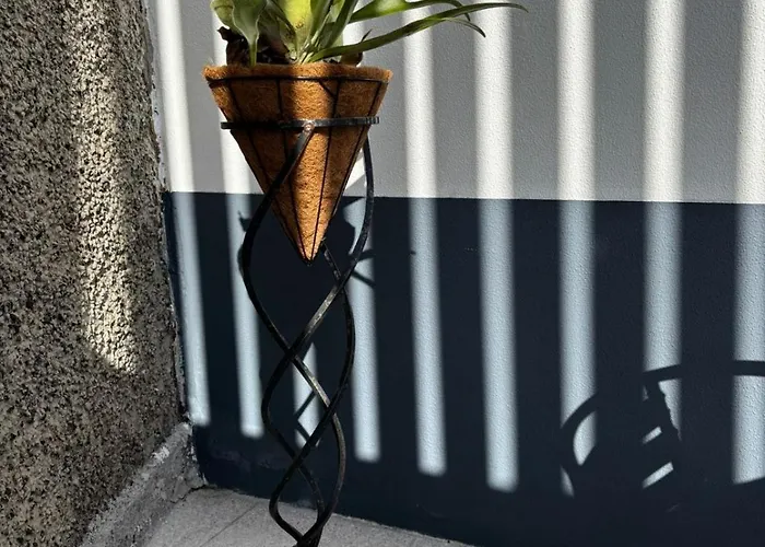 Casa Ribeiro 招待所